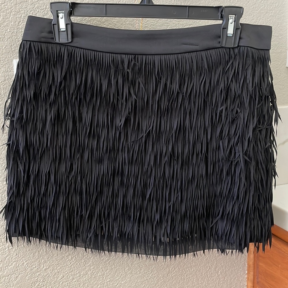 Express skirt